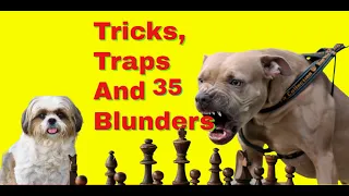 Tricks, Traps And Blunders 35 | The World Greatest Chess Blunders