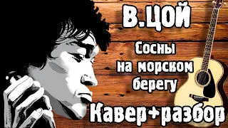 СОСНЫ НА МОРСКОМ БЕРЕГУ - ЦОЙ НА ГИТАРЕ | ЛЕГКО Для Начинающих | Кино (кавер +разбор)