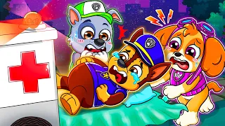 OMG! Chase Is PREGNANT?! What Happened? - Very Sad Story - Paw Patrol Ultimate Rescue | Rainbow 3