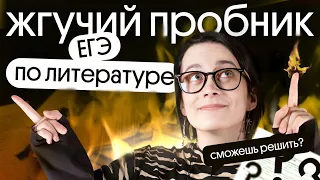 РЕШАЕМ ЖГУЧИЙ ПРОБНИК ЕГЭ ПО ЛИТЕРАТУРЕ 🔥