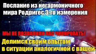 В недавнем прошлом нашего мира был похожий опыт#Эра Возрождения