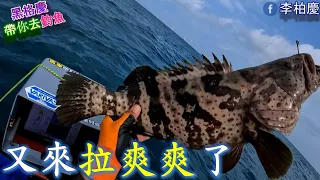 跟著石斑王~來釣高級魚，原來這裡這麼多種高級魚可以釣～厲害了!!#釣魚#石斑#點誌#紅甘#紅條#金蘭#泡綿船#李柏慶#fishing