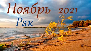 Рак Ноябрь 2021 Таро прогноз