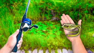 FROG FISHING with a ZEBCO (CRAZY Fishing Challenge)