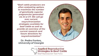 Dr. Pedro Fontes - Resynchronization strategies for beef cattle