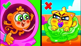 Baby Born Song 👶 | + More Kids Songs and Nursery Rhymes