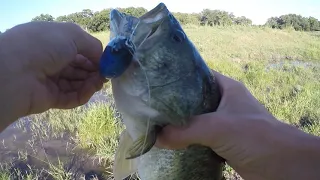 Catching fish on CUSTOM Lures(6" Savage Gear line through trout destroyed)