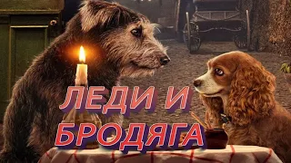 Леди и Бродяга Фильм 2019 - Русский трейлер.