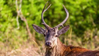 Arrowhead Ranch | Burnett County, Texas