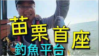 #苗栗 首座釣魚平台 人人有獎 各式魚貨頻頻現身 Fishing  台湾の釣り 낚시 câucá