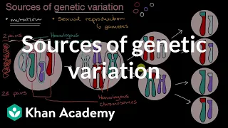 Sources of genetic variation | Inheritance and variation | High school biology | Khan Academy