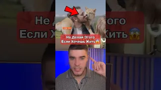 Срочно Запрети Это Делать Собаке😱