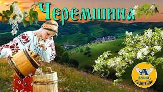 ЧЕРЕМШИНА - КВІТКА ЦІСИК | KVITKA CISYK - CHEREMSHYNA (Bird-Cherry Tree) KARAOKE