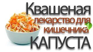 В чем польза квашеной капусты и кому ее нельзя есть?