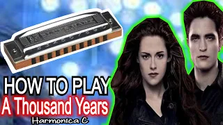 A THOUSAND YEARS HARMONICA ( C DIATONIC ), ARMÓNICA C, BLUES HARP C, GAITA DE BOCA C, MUNDHARMONIKA