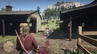 RDR2 - I've Never Seen Such A Scary Death Animation Before