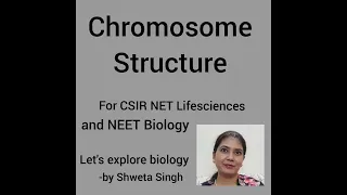 Chromosome Structure. Molecular Biology. (CSIR NET and NEET)