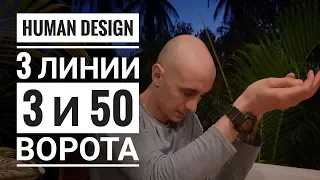 Дизайн Человека 3 и 50 ворота. 3 линии Даниил Трофимов. Human Design