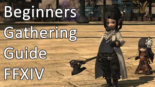 Beginners Guide To Gathering (Level 80) - FFXIV