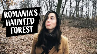 Romania's HAUNTED Forest! | Hoia Baciu Forest