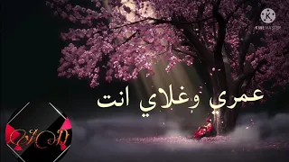 اغنية سيف نبيل غلاي انت مع الكلمات