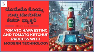 How Tomato Ketchup Is Made | Tomato Harvesting And Processing to Ketchupy/#tomatoketchupfactory
