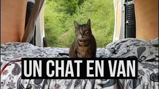 ROADTRIP AVEC SON CHAT