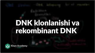 DNK klonlanishi va rekombinant DNK | Biotexnologiya | Biologiya