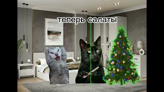 31 декабря. смешные коты.