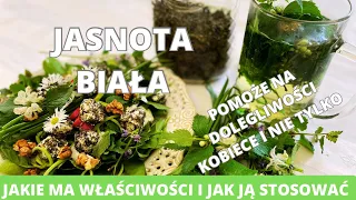 Jasnota biała. Pomoże w dolegliwościach kobiecych i nie tylko. Jakie ma właściwości i jak stosować