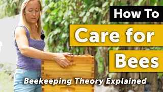 BEEKEEPING THEORY: HOW TO CARE FOR HONEY BEES | In-depth Guide to What the Beekeeper Does