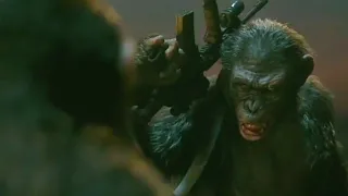César Vs Koba (1/2) | Planeta dos Macacos 2: O Confronto (2014) DUBLADO HD