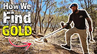 Being Bitten by Australia's Most Aggressive Ant for Gold