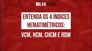 Entenda os 4 índices hematimétricos: VCM, HCM CHCM E RDW.