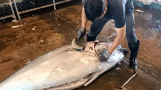 Cut Huge Bluefin Tuna in 3 minutes