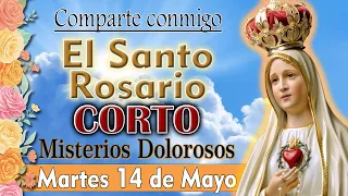 Santo Rosario CORTO de hoy martes 14 de mayo 2024 SIN ANUNCIOS EN LA ORACION, MISTERIOS DOLOROSOS