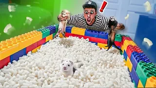 PISCINA GIGANTE DE MARSHMELLOW PARA OS MEUS FURÕES