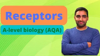 Receptors - A-level Biology