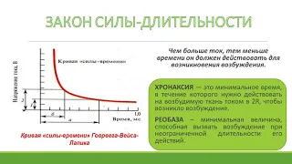 Законы раздражения возбудимых тканей Широкова ОЛД 205