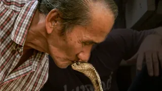 Snakecharmer Handles Dangerous Monocled Cobra | Deadly 60 | Series 2 | BBC Earth