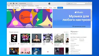 Как обновить iPhone 11 до последней версии iOS с помощью iTunes