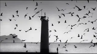 The Cinematic Orchestra   Arrival of The Birds & Transformation