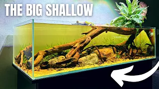 The NEW Amazon RIVERBANK! Big Shallow 3.0 - Full Step By Step Aquascape Tutorial