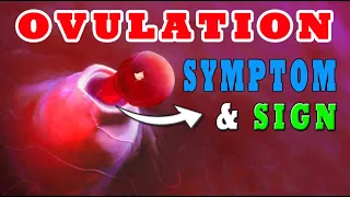 Ovulation Symptoms: How To Know When You Are Ovulating 🥚 (SIGNS EXPLAINED!)⚠️