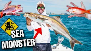 Catching GIANT FISH In SHARK INFESTED WATERS!