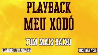 Playback Meu Xodó (Biguinho Sensação) Tom Mais Baixo