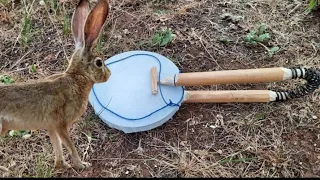 طريقة بسيطة لصنع مصيدة النابض How to make an effective rabbit trap