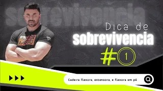 DICA DE SOBREVIVÊNCIA #1