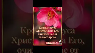 КРОВЬ ИИСУСА ХРИСТА , СЫНА ЕГО , ОЧИЩАЕТ НАС ОТ ВСЯКОГО ГРЕХА - 16.04.2024