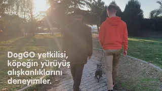 DogGO Ücretsiz Tanışma Yürüyüşü